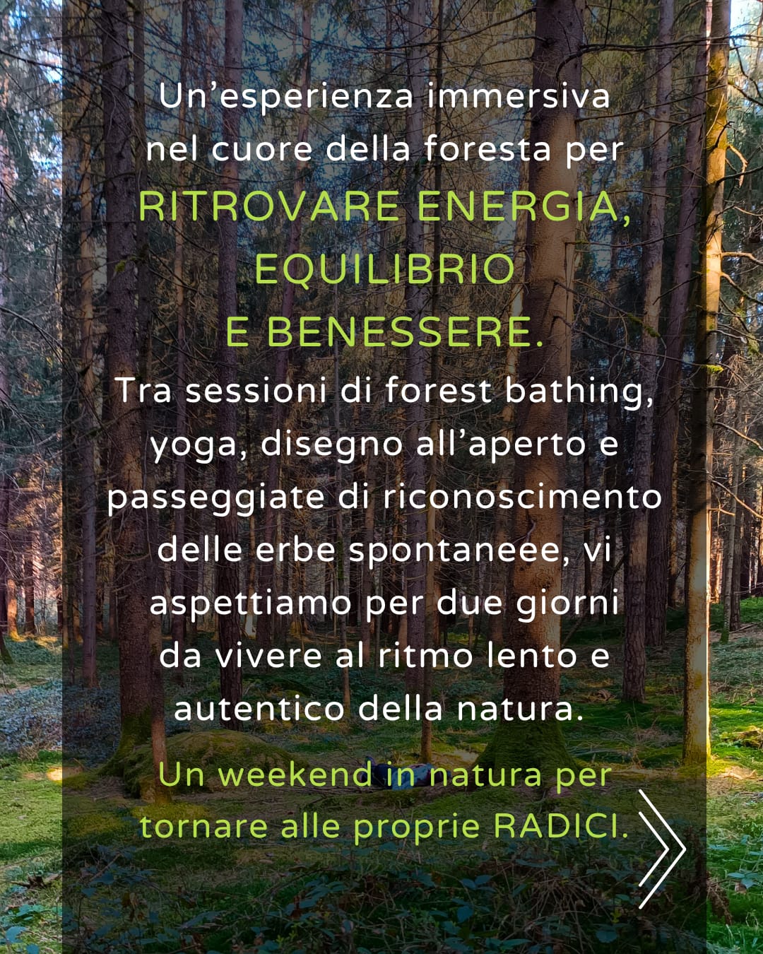 corso riconoscimento erbe spontanee valcamonica