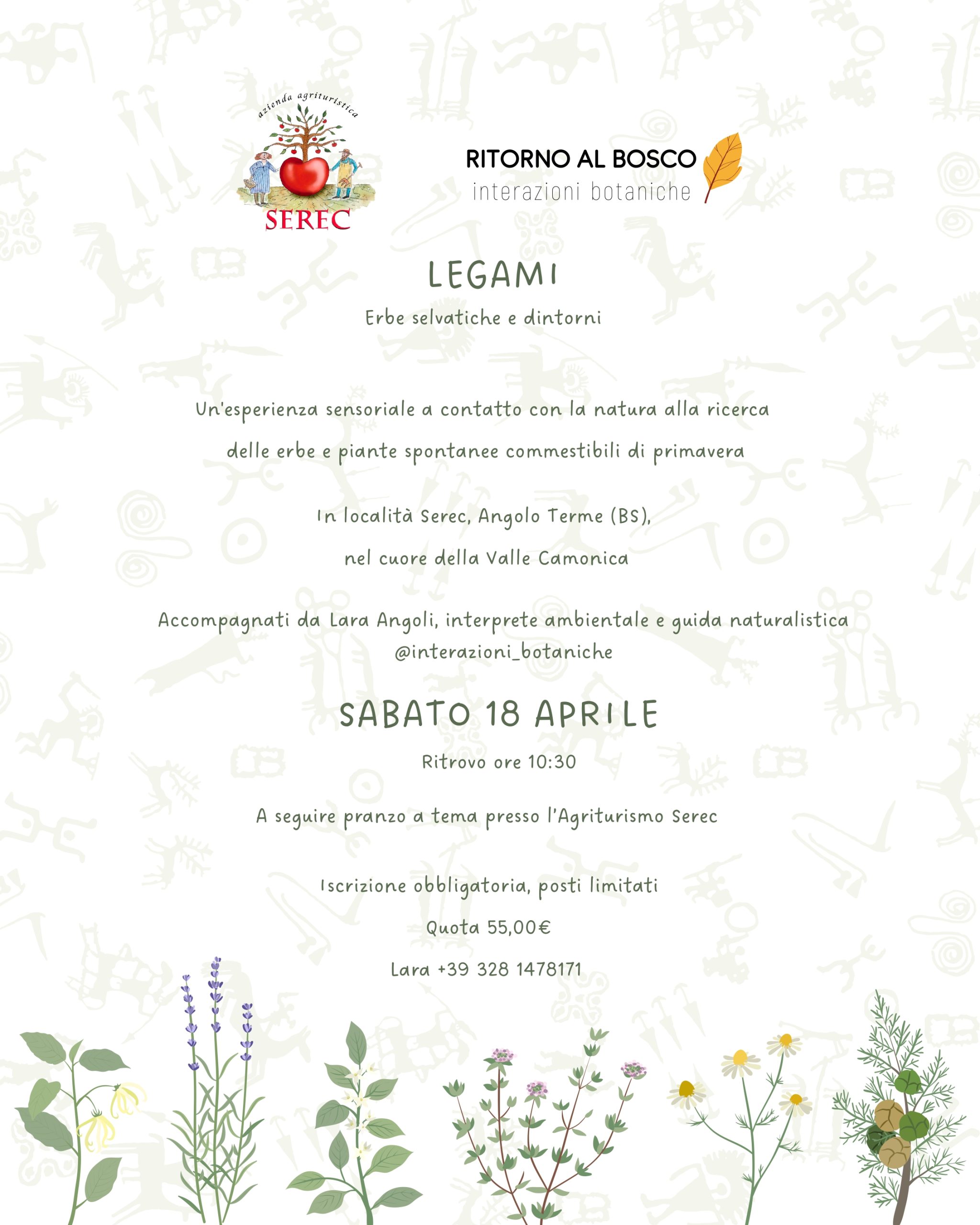 agriturismo serec esperienze