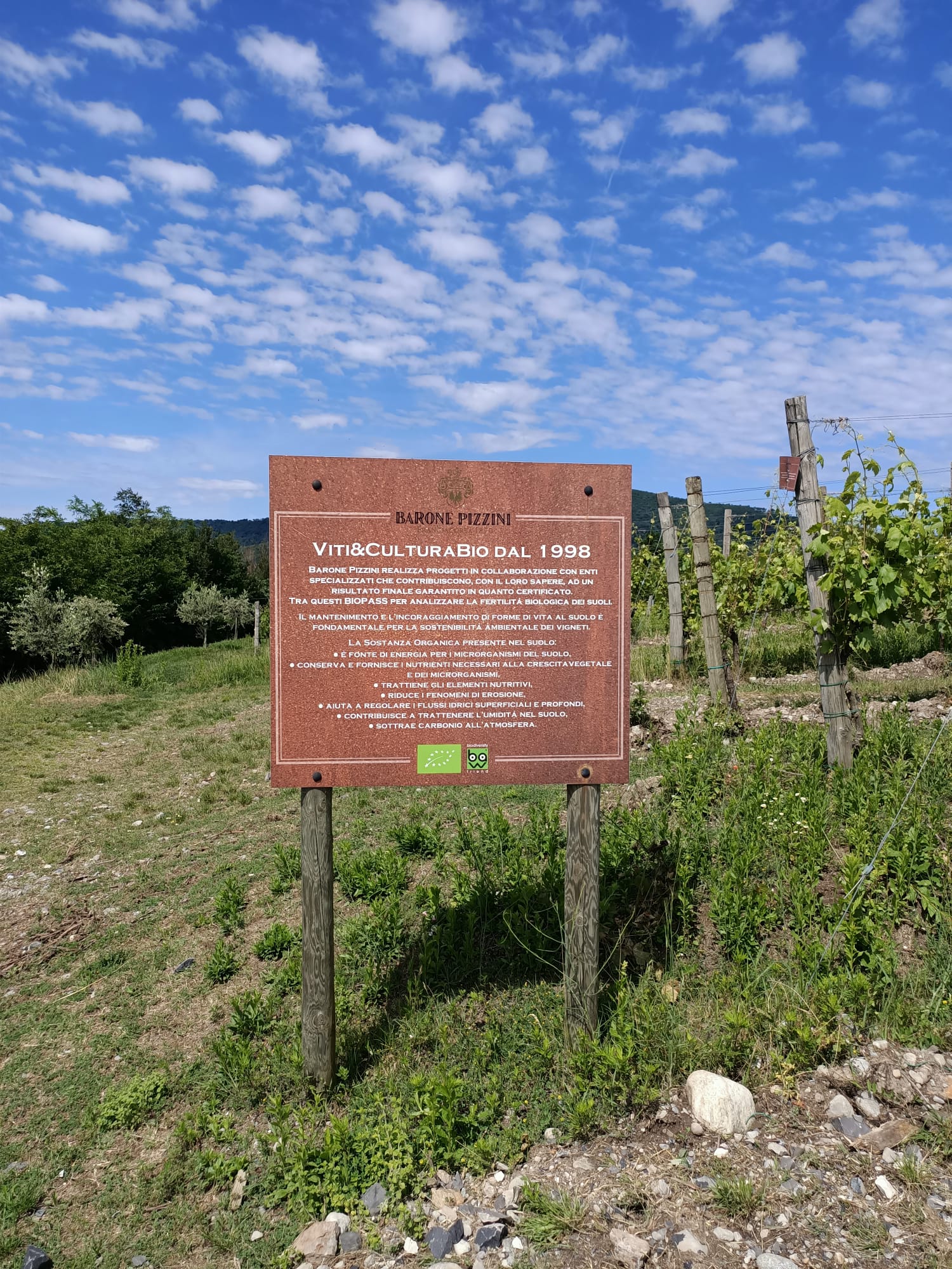 festival cantine franciacorta